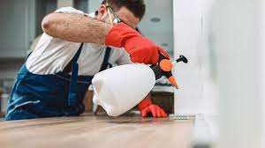 Best Commercial Pest Control  in Costa Mesa, CA